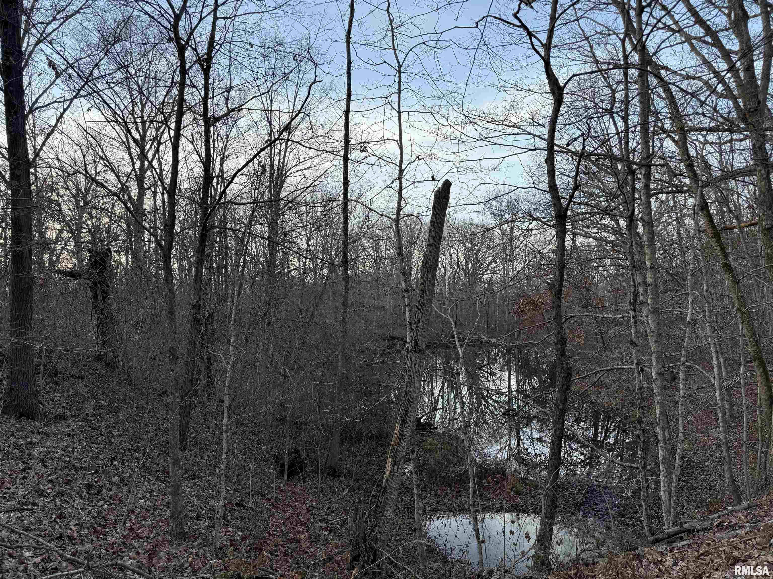 201 N 700 E Road, Herrick, Illinois image 22