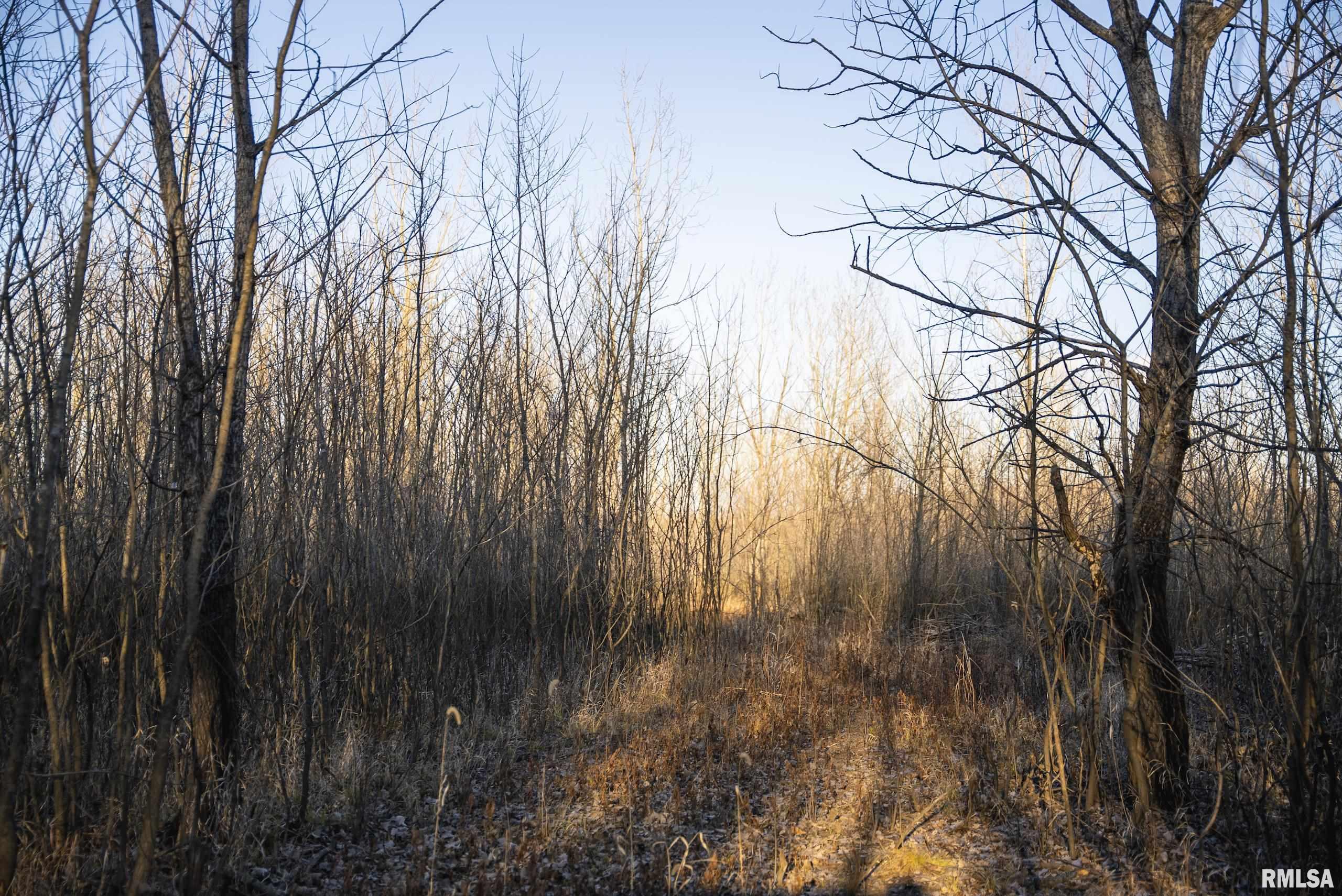000 Liberty Road, Augusta, Illinois image 31