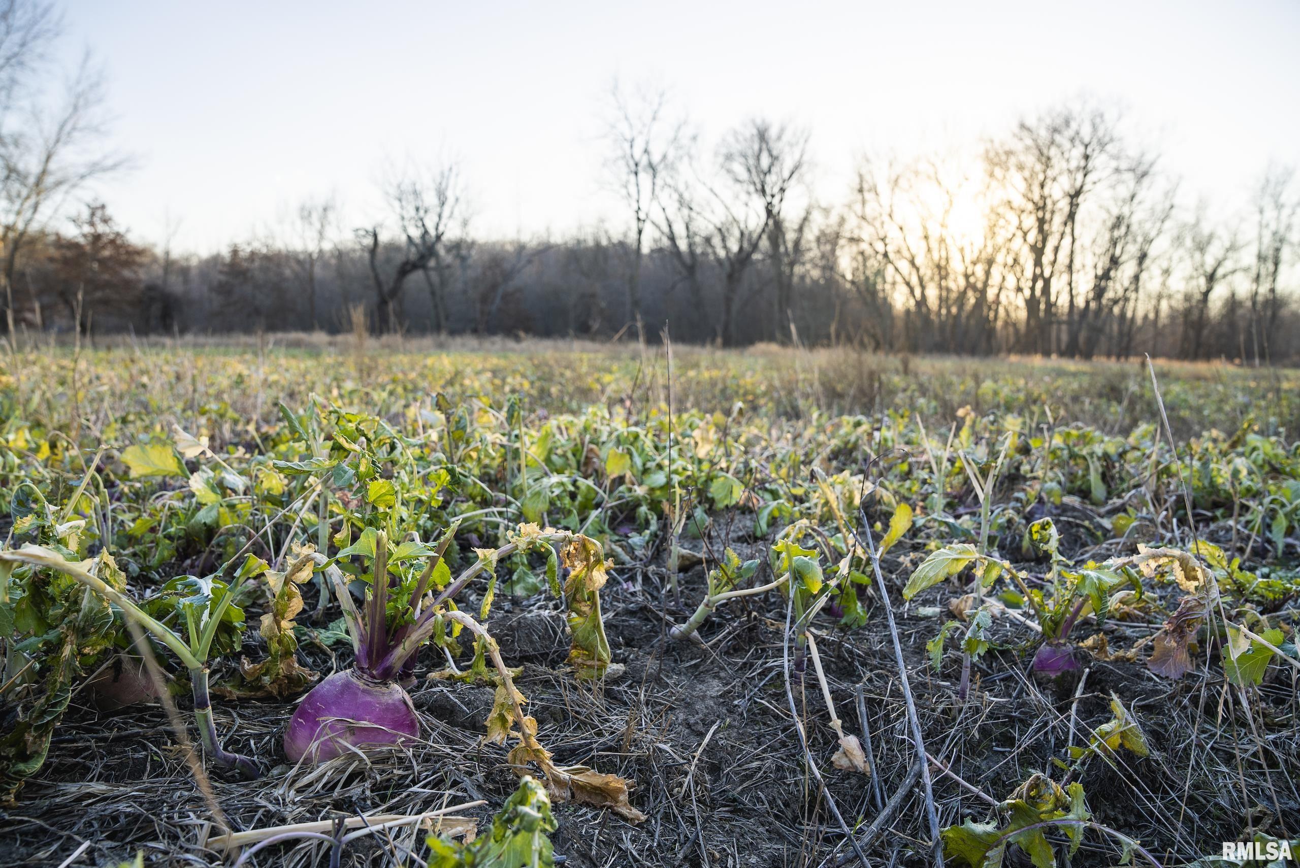 000 Liberty Road, Augusta, Illinois image 38