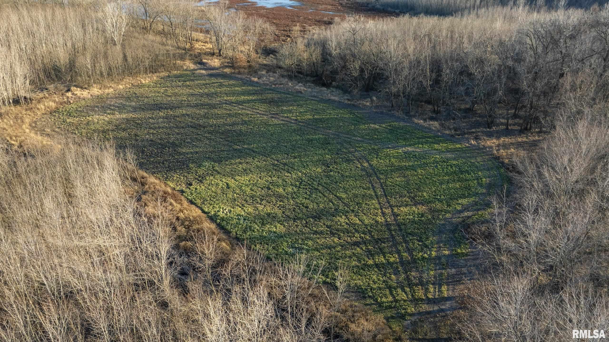 000 Liberty Road, Augusta, Illinois image 3