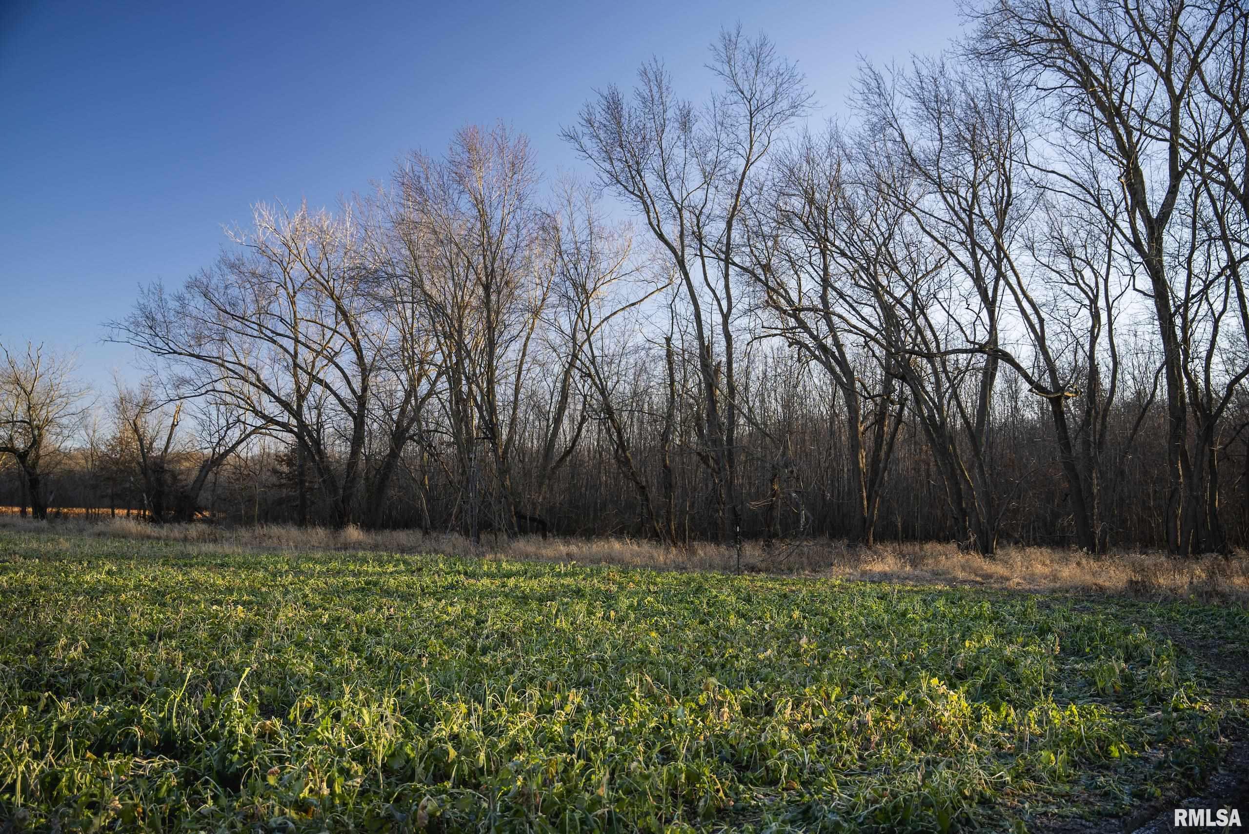 000 Liberty Road, Augusta, Illinois image 30