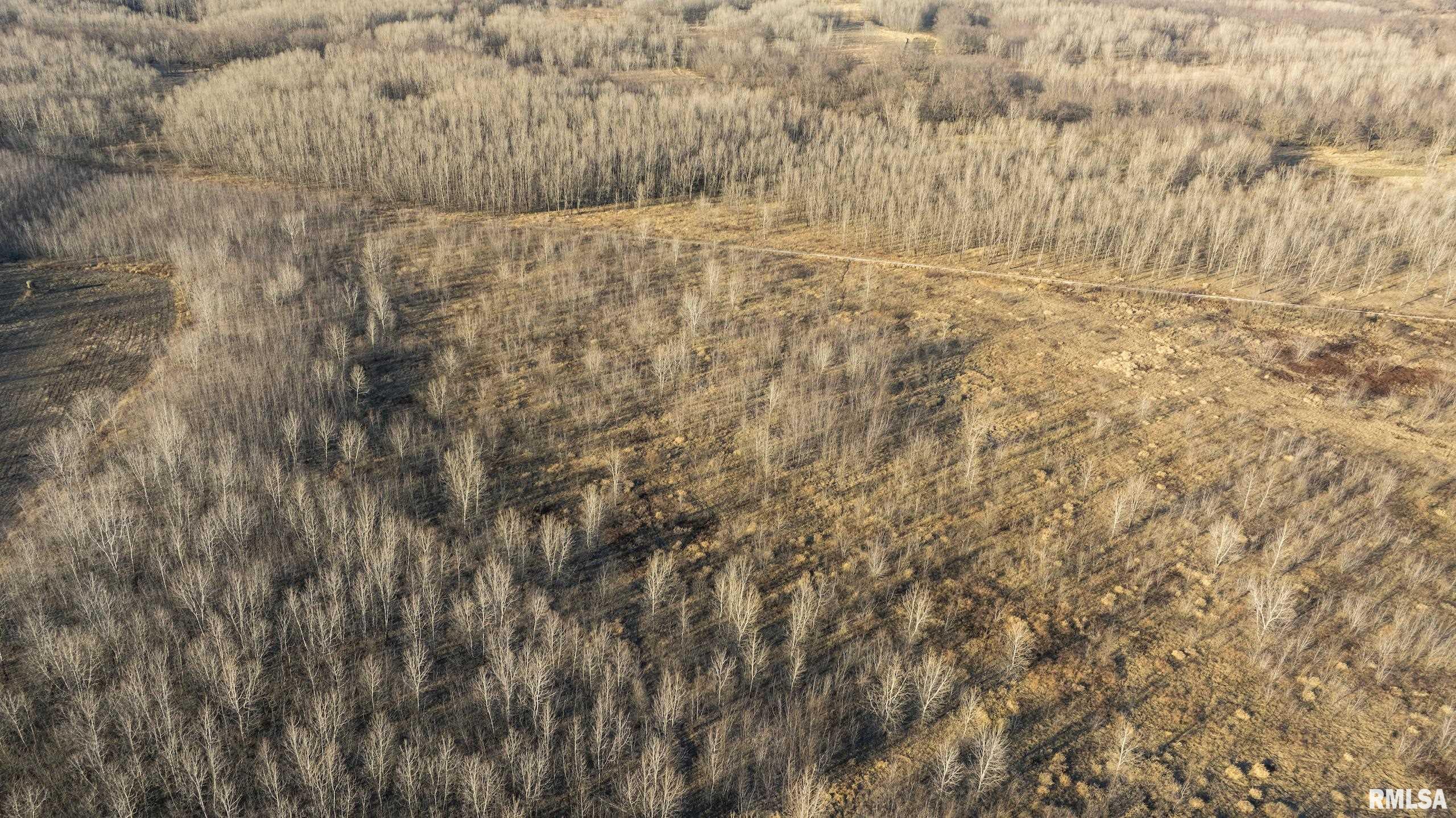 000 Liberty Road, Augusta, Illinois image 16