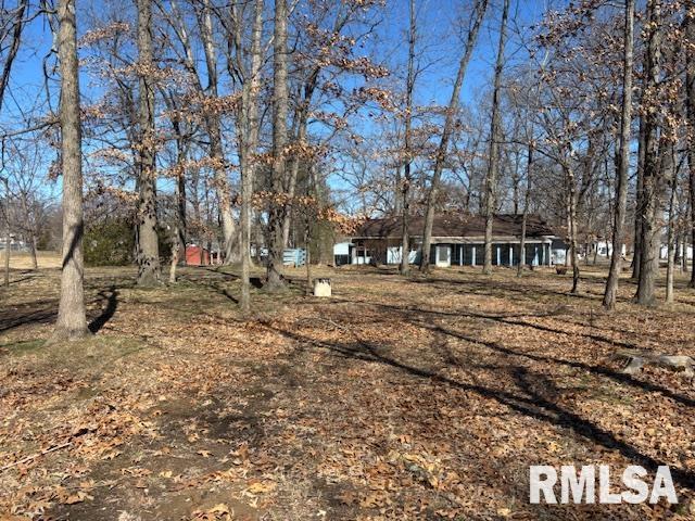 309 Wildwood Drive, Carterville, Illinois image 31