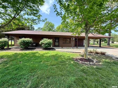 Photo of 407 N 8TH Street, Elkville, IL 62932 (MLS # PA1265799)