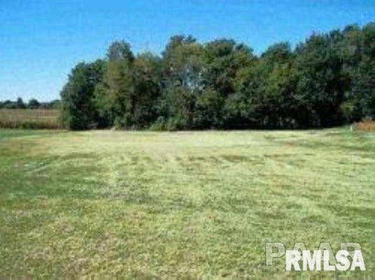 LOT 13 EAGLE DRIVE, LACON, IL 61540 - Image 942e0c4eb71d028e0c0106ec7d491bc4/3666069109