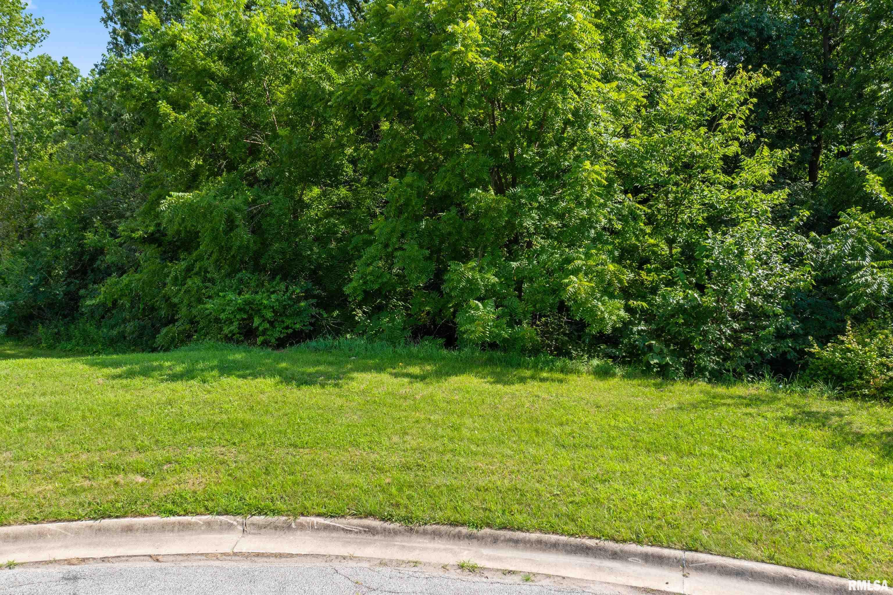 6204 Crosswynd Court, Edwards, Illinois image 9