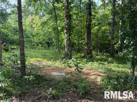 Vacant Land For Sale - 000 Wagon Creek Loop<br/> Creal Springs, IL 62922