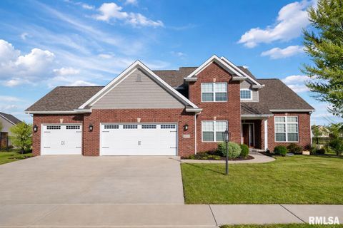 Homes For Sale - 11216 N Blackstone Court<br/> Dunlap, IL 61525