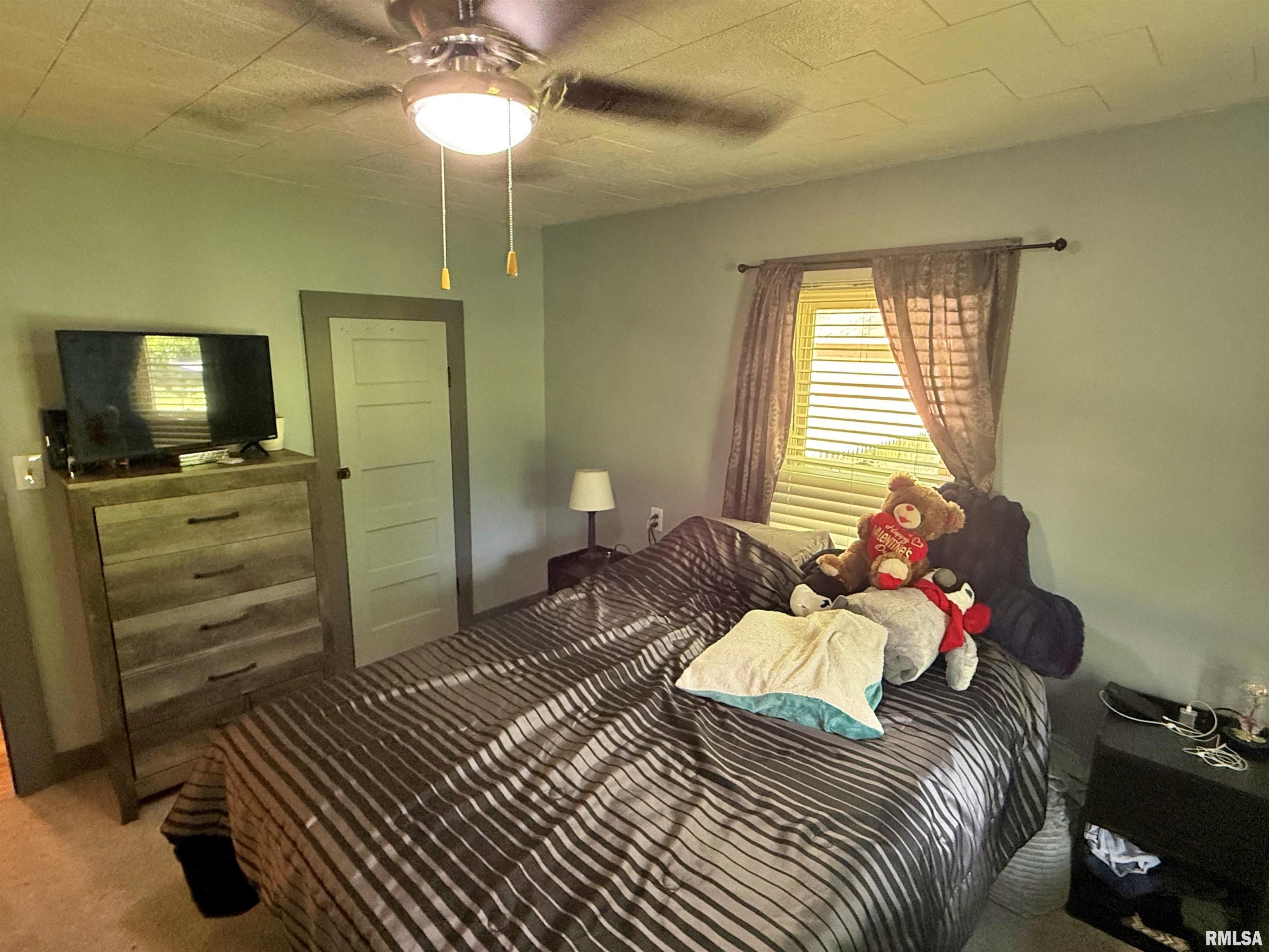6556 S Us 45 Road, Brookport, Illinois image 35