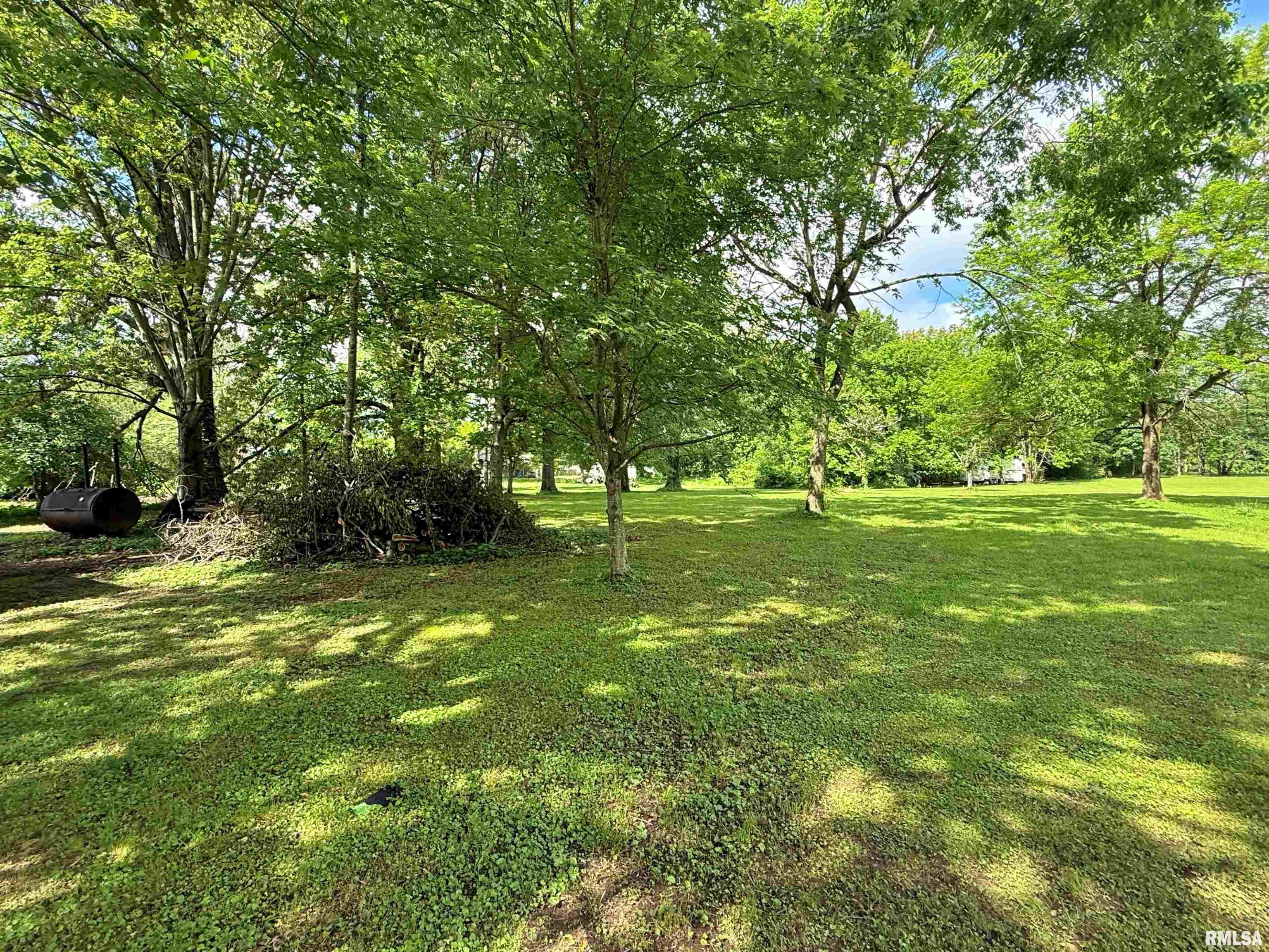 6556 S Us 45 Road, Brookport, Illinois image 13
