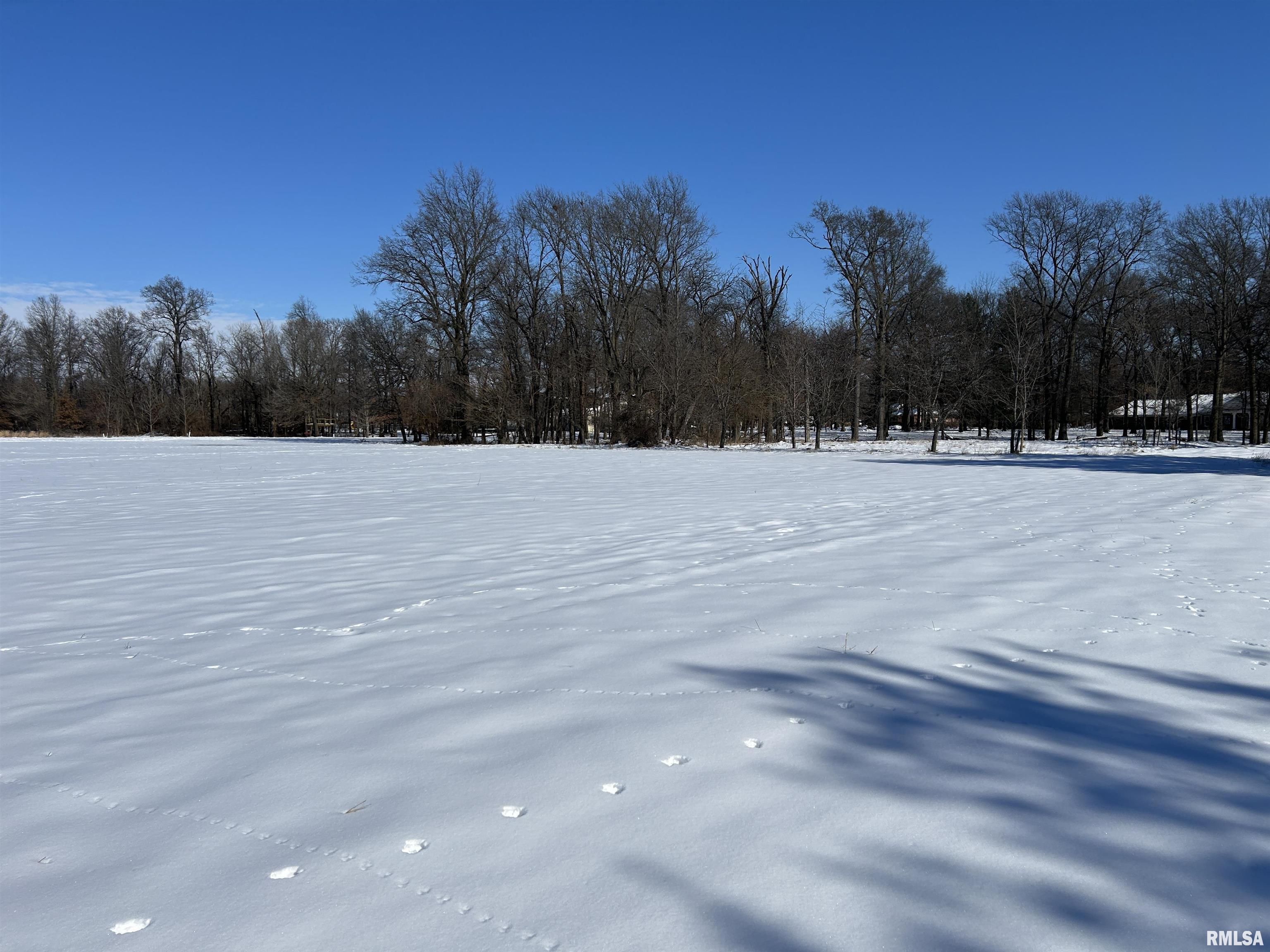 000 Hawthorn Road, Salem, Illinois image 3