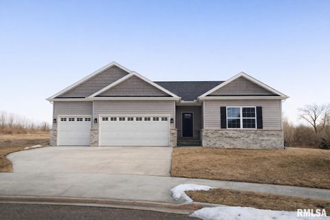 Homes For Sale - 8802 N Westpoint Court<br/> Edwards, IL 61528