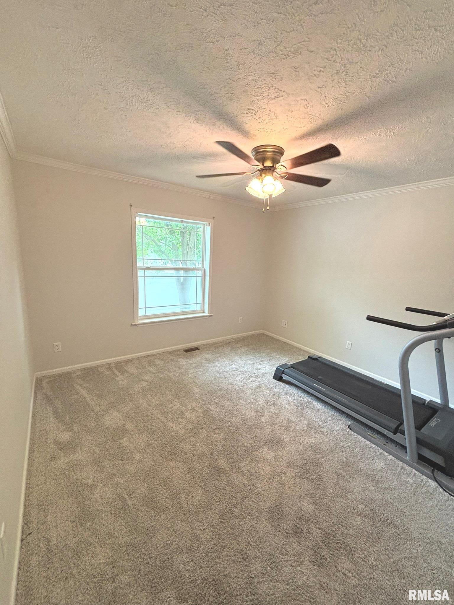 3271 Selmaville Road, Salem, Illinois image 9