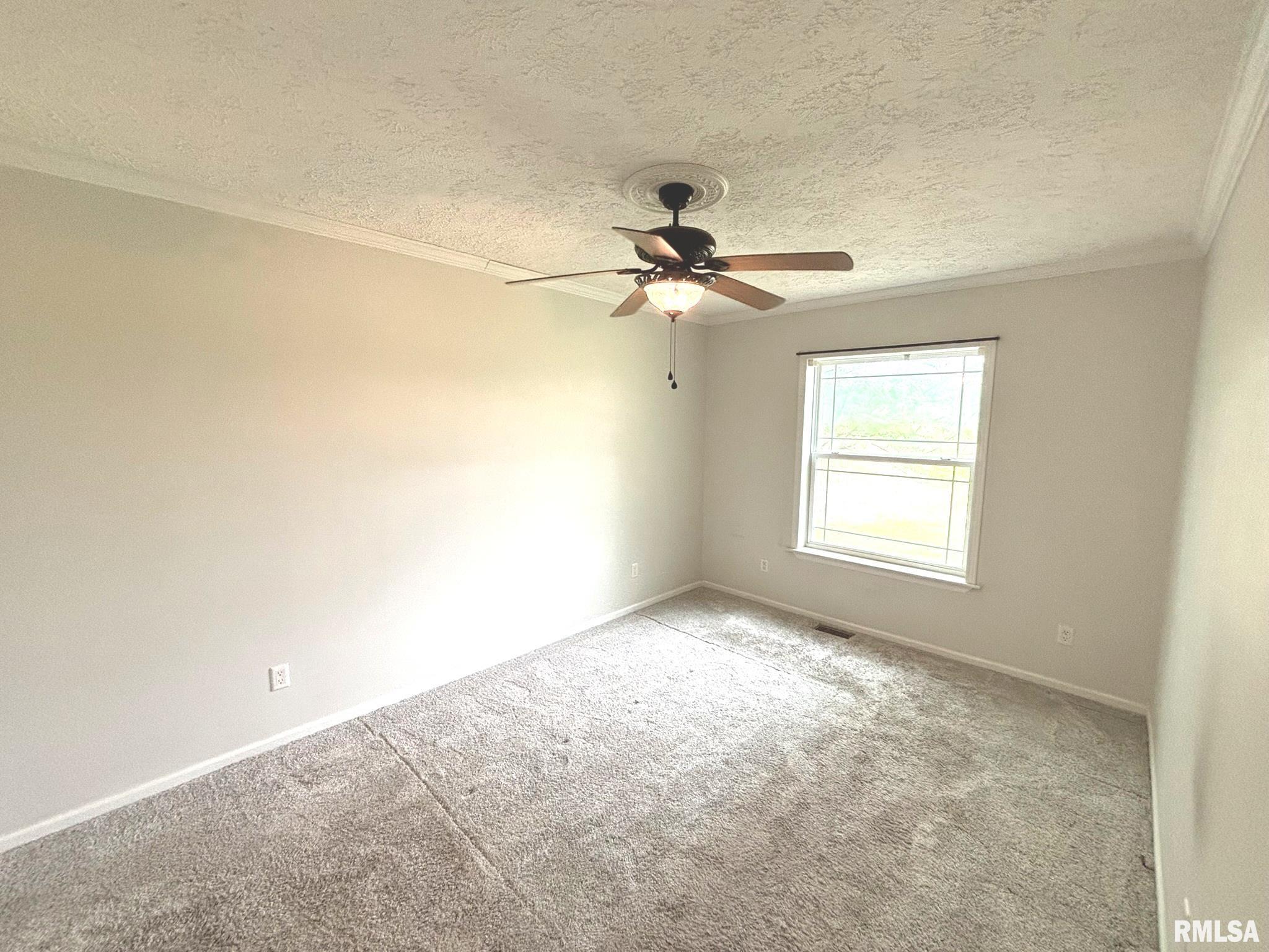 3271 Selmaville Road, Salem, Illinois image 8