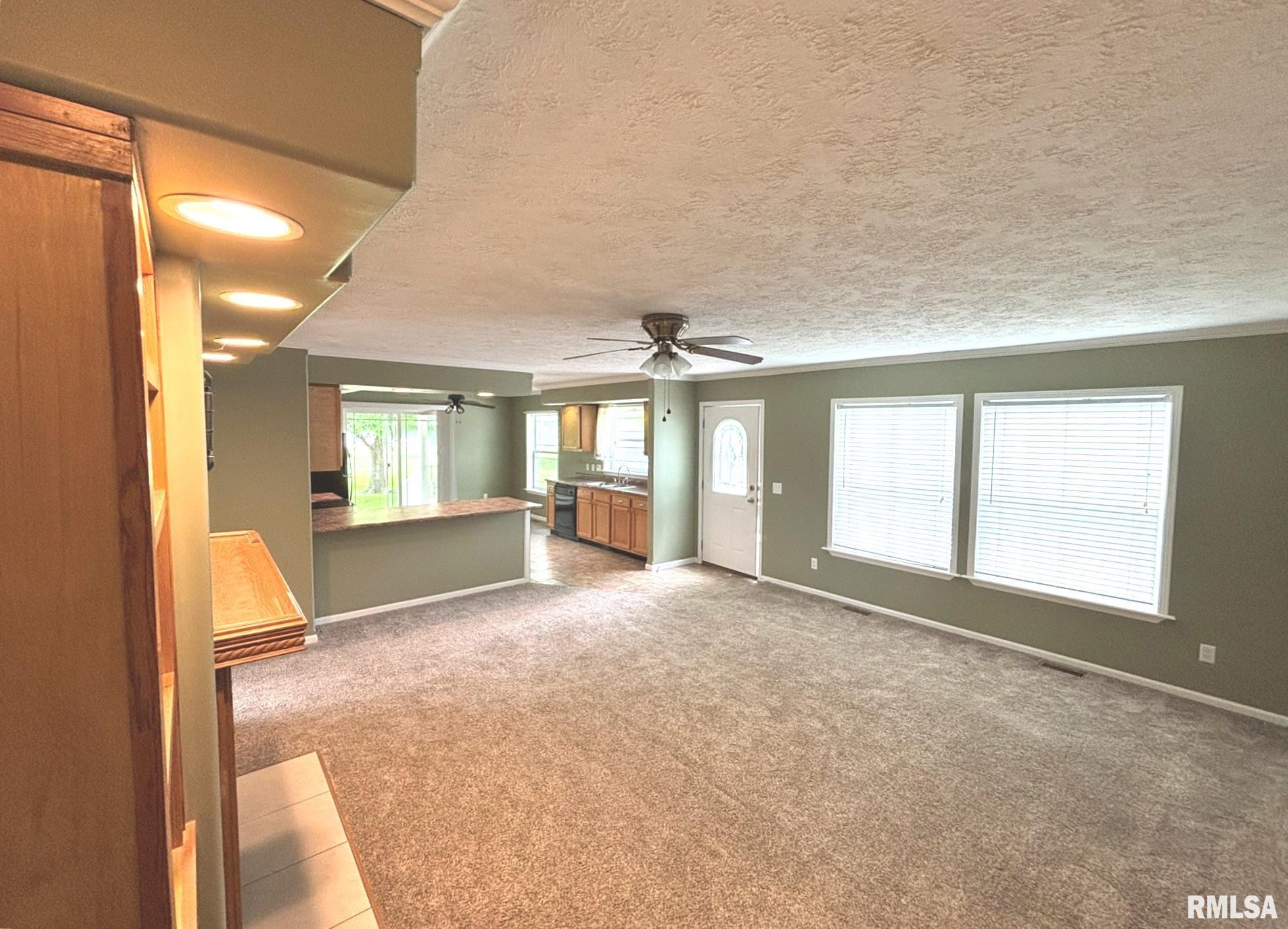 3271 Selmaville Road, Salem, Illinois image 4