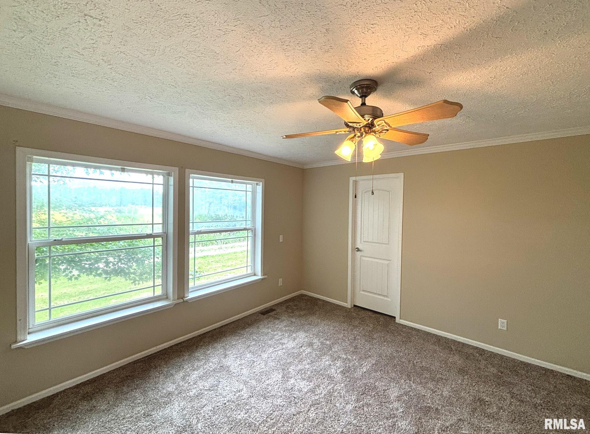 3271 Selmaville Road, Salem, Illinois image 6