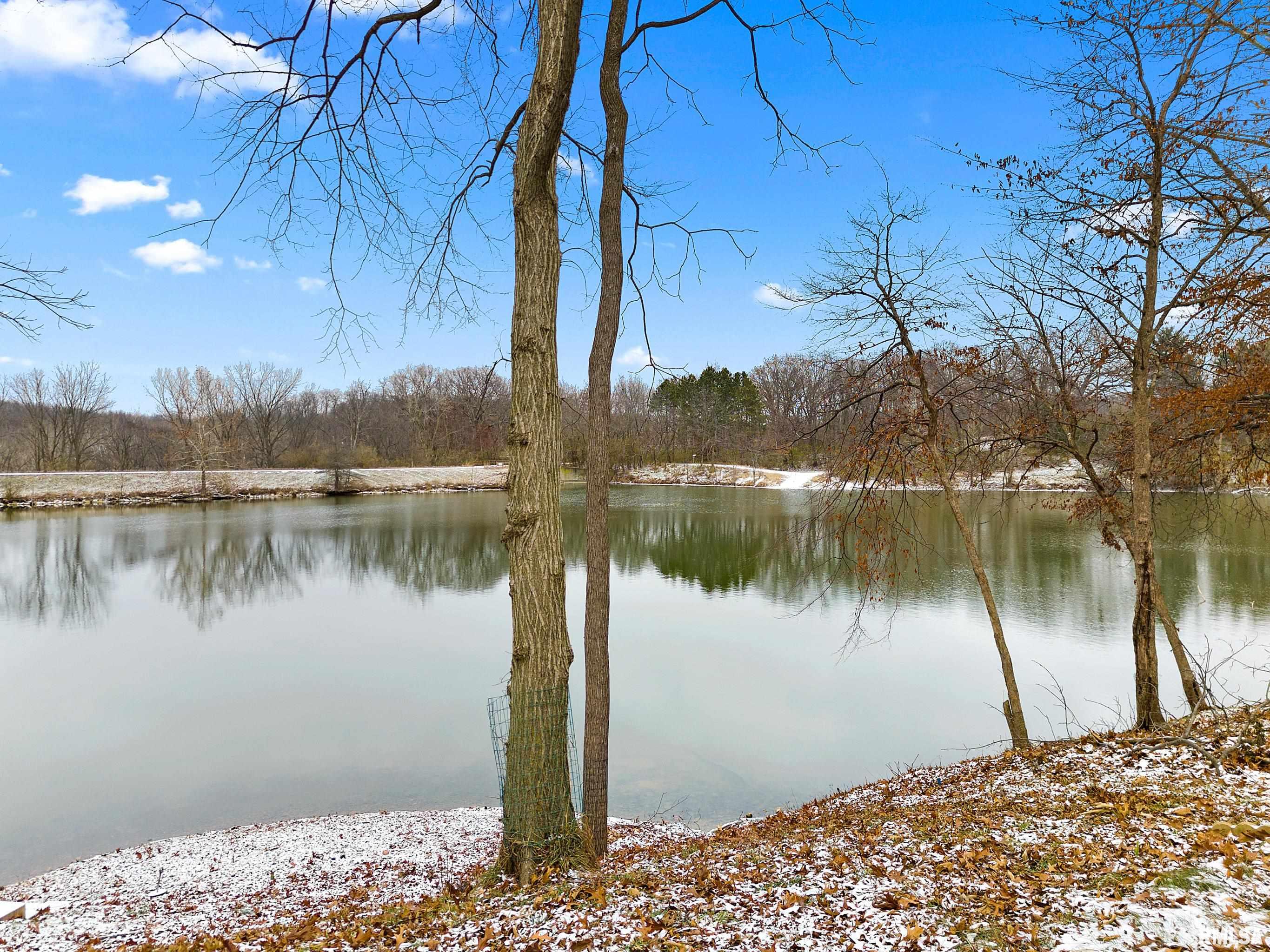 1828 Winged Foot Drive, Pekin, Illinois image 6