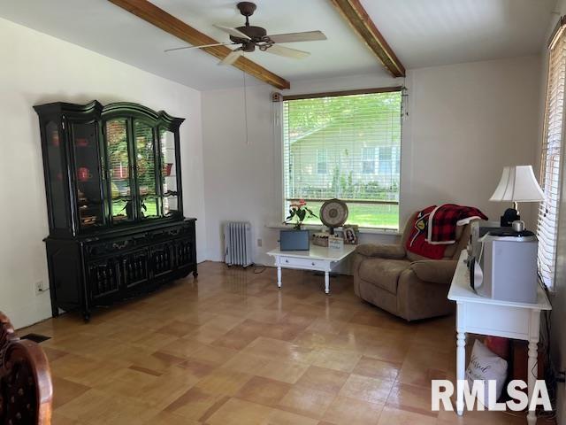 2020 Edith Street, Murphysboro, Illinois image 13