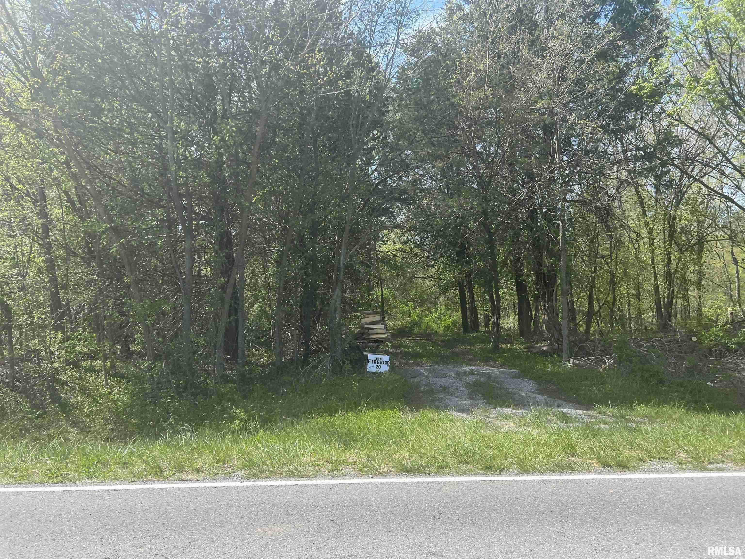 Lots 1 & 2 Grassy Road, Carbondale, Illinois image 5