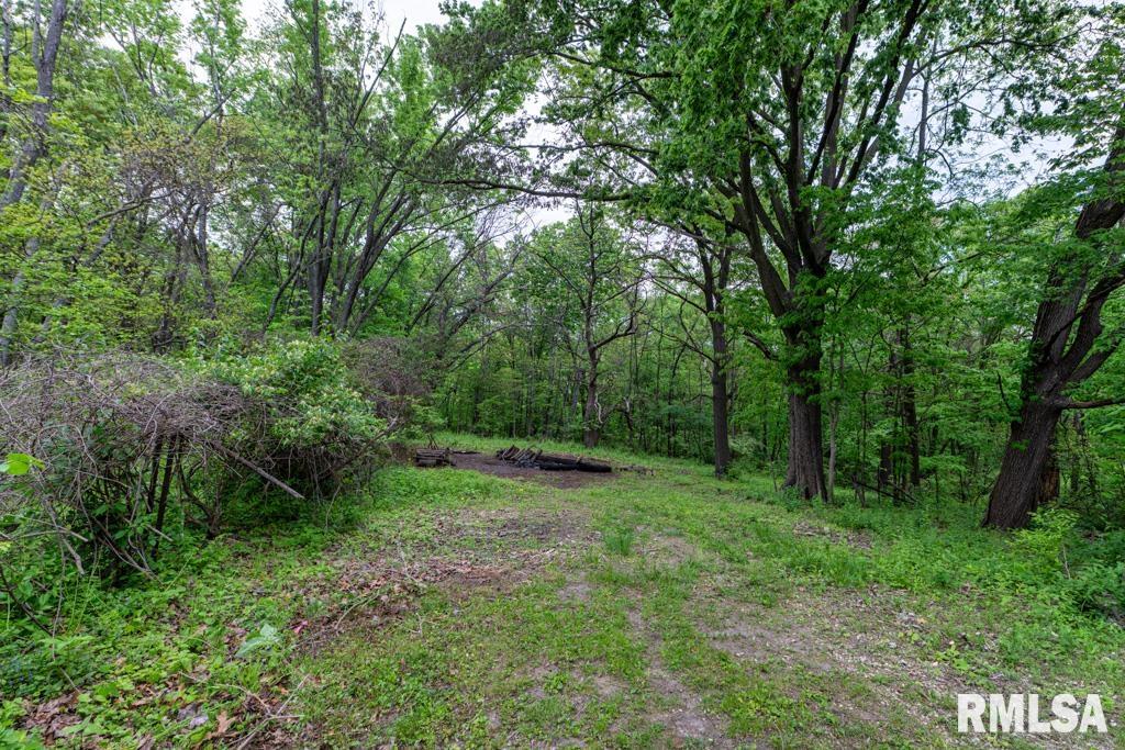 4305 W Redbud Drive, Peoria, Illinois image 12