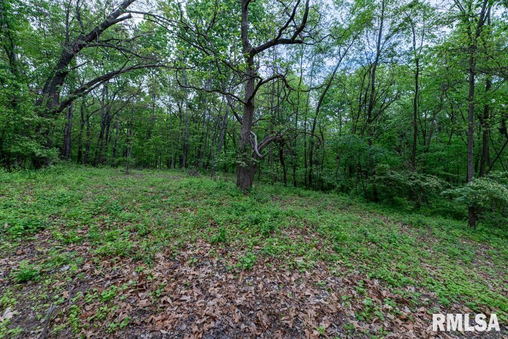 4305 W Redbud Drive, Peoria, Illinois image 14