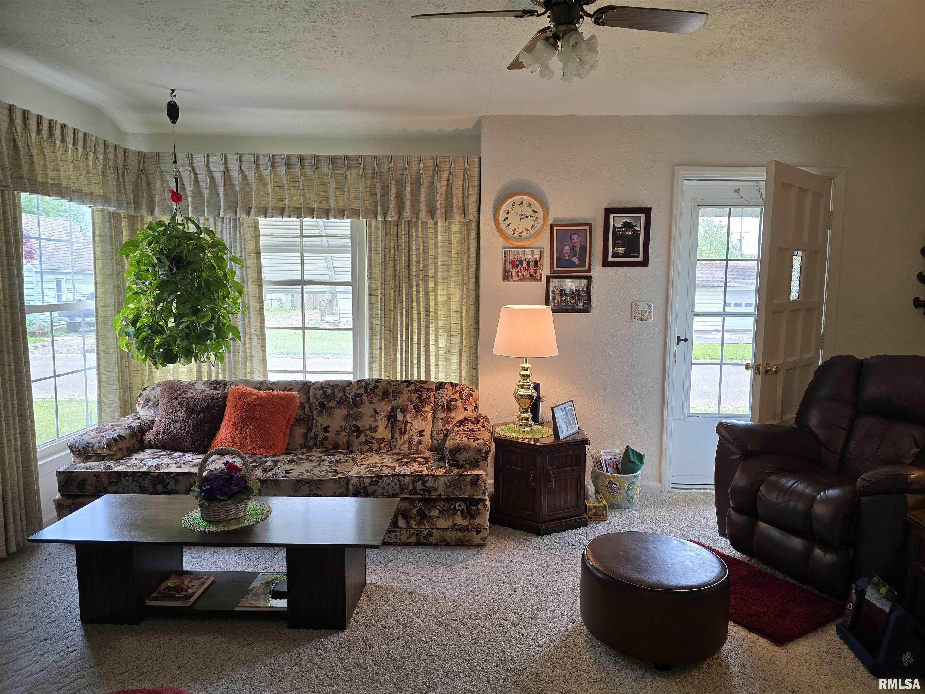 225 E Hickory Street, Canton, Illinois image 9