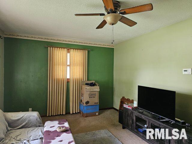 211 E Lincoln Street, Galatia, Illinois image 5