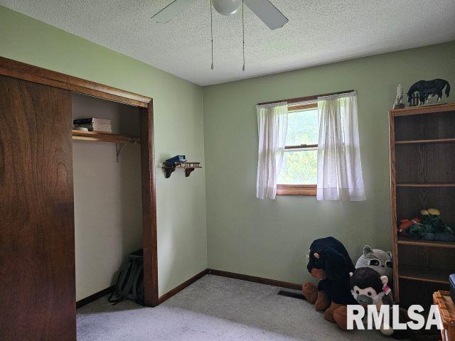 211 E Lincoln Street, Galatia, Illinois image 8