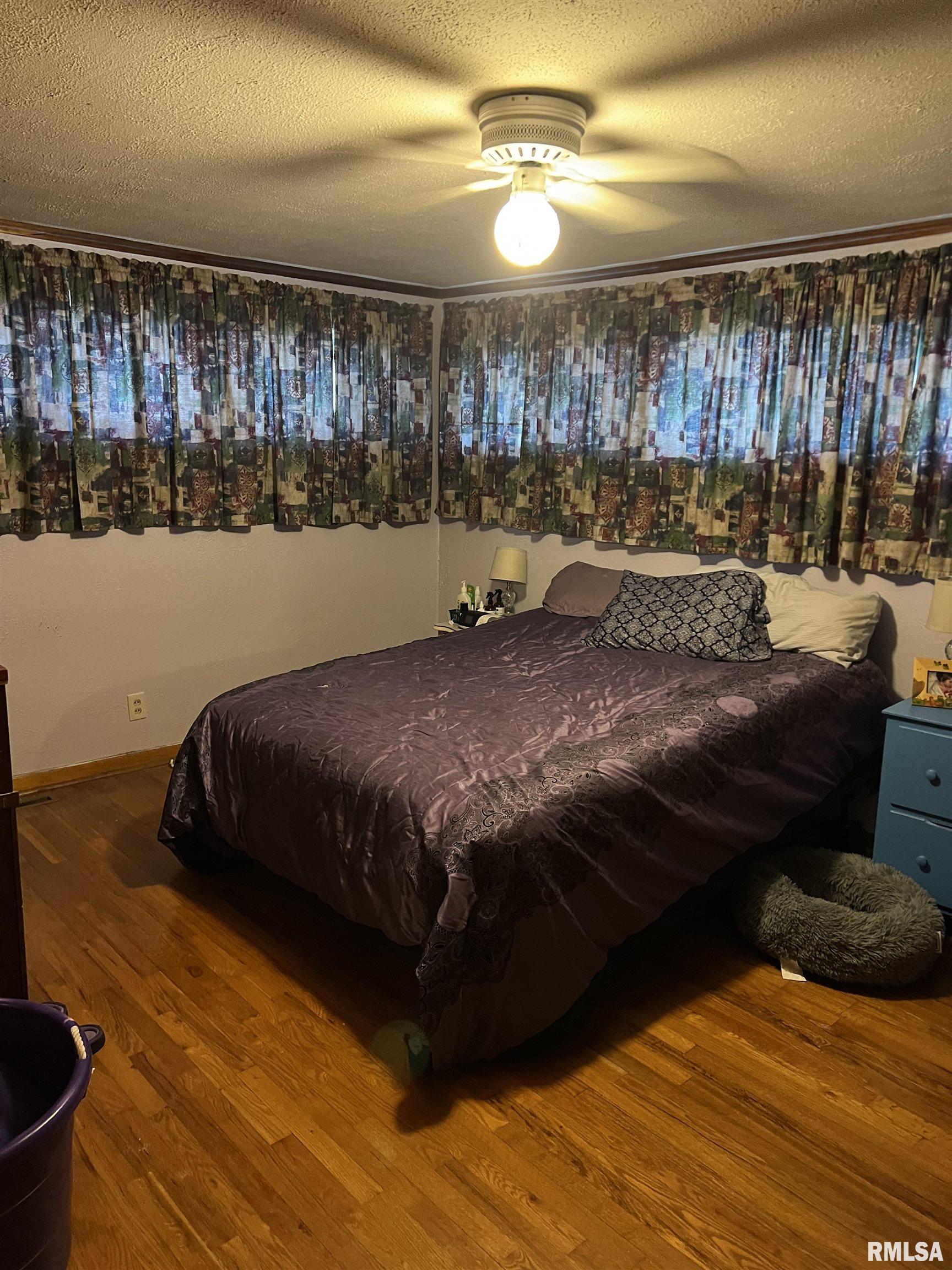 1021 E Broadway Street, Astoria, Illinois image 15