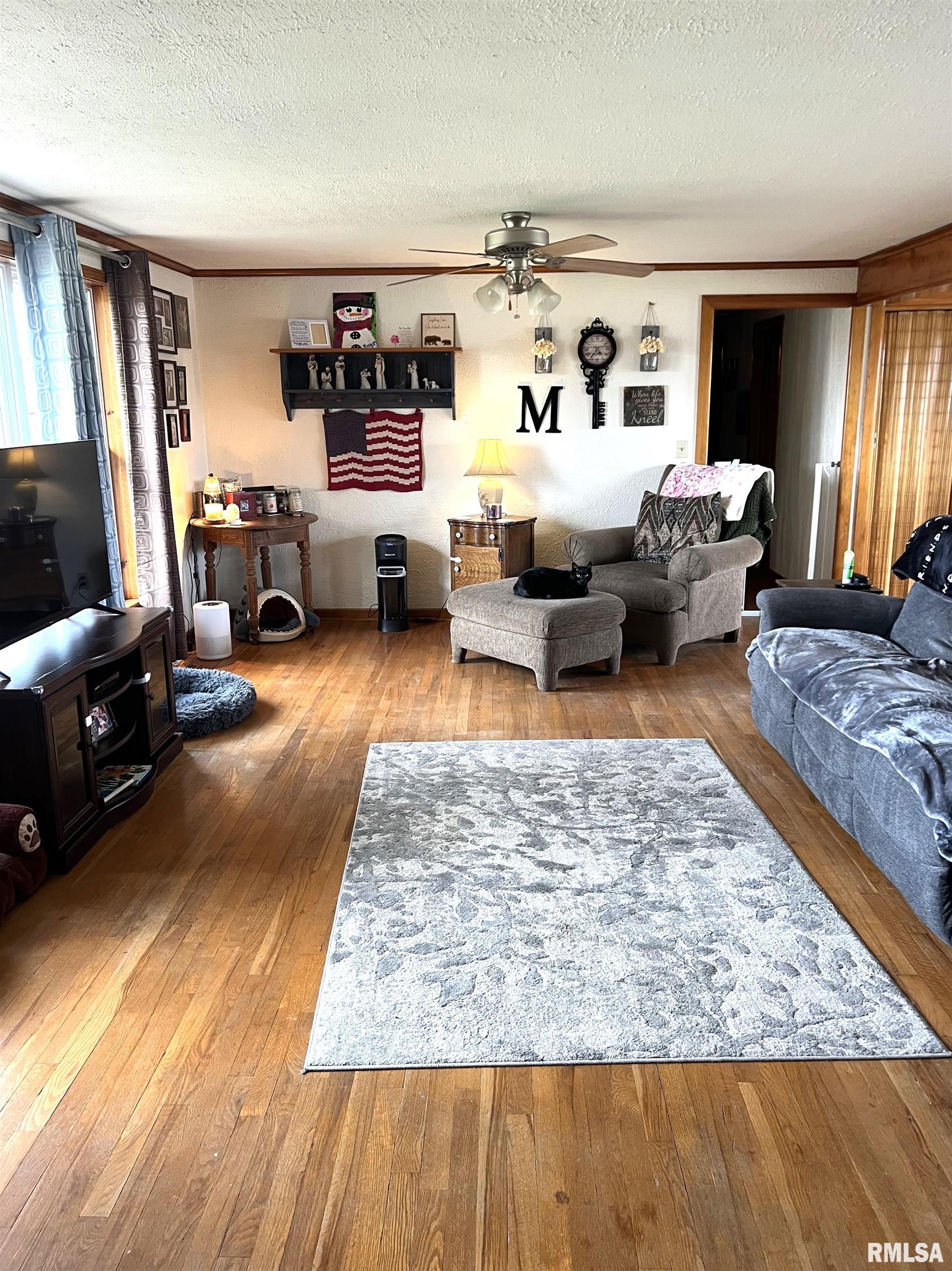 1021 E Broadway Street, Astoria, Illinois image 28