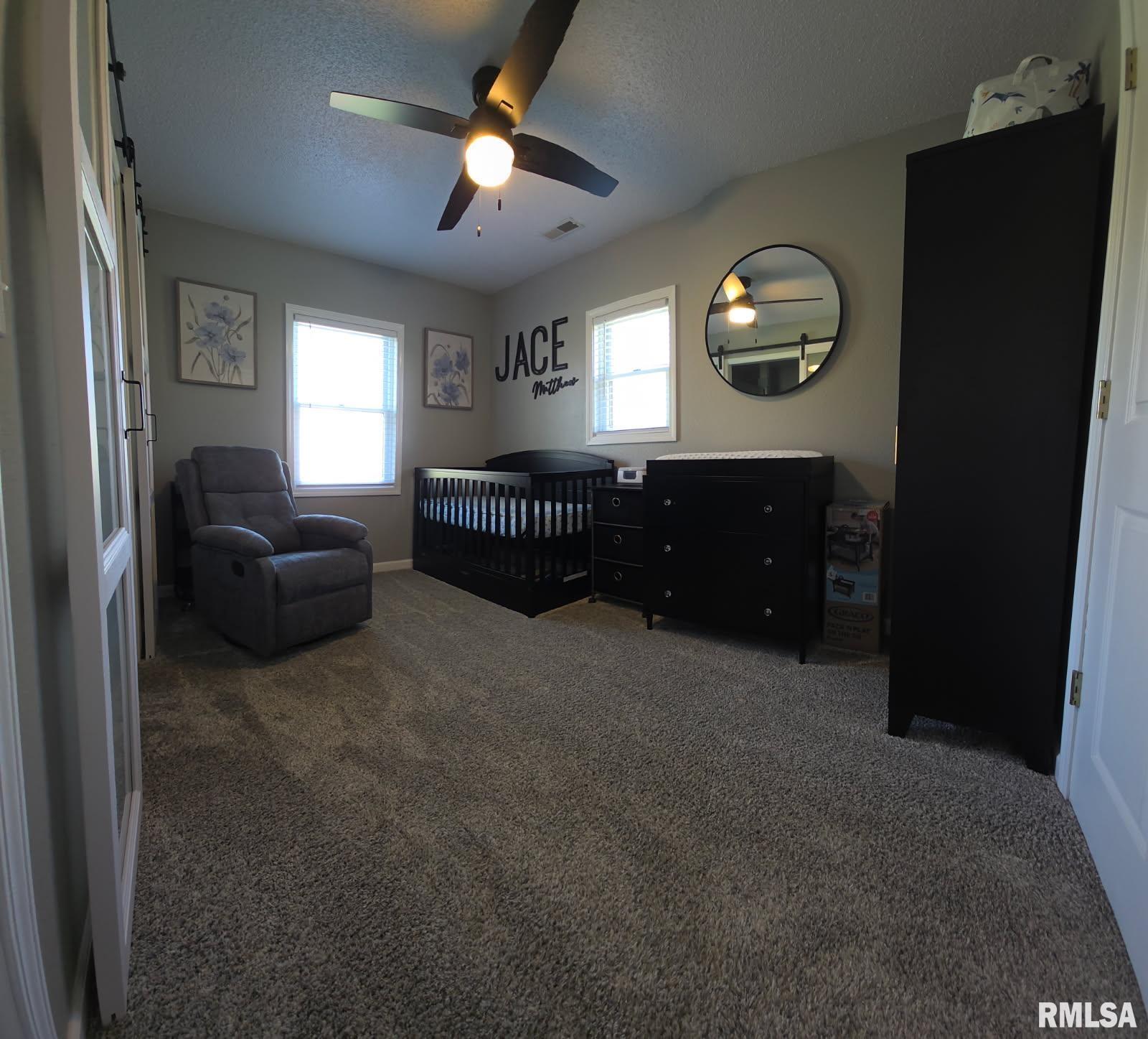 3009 Dalmation Road, Pinckneyville, Illinois image 11