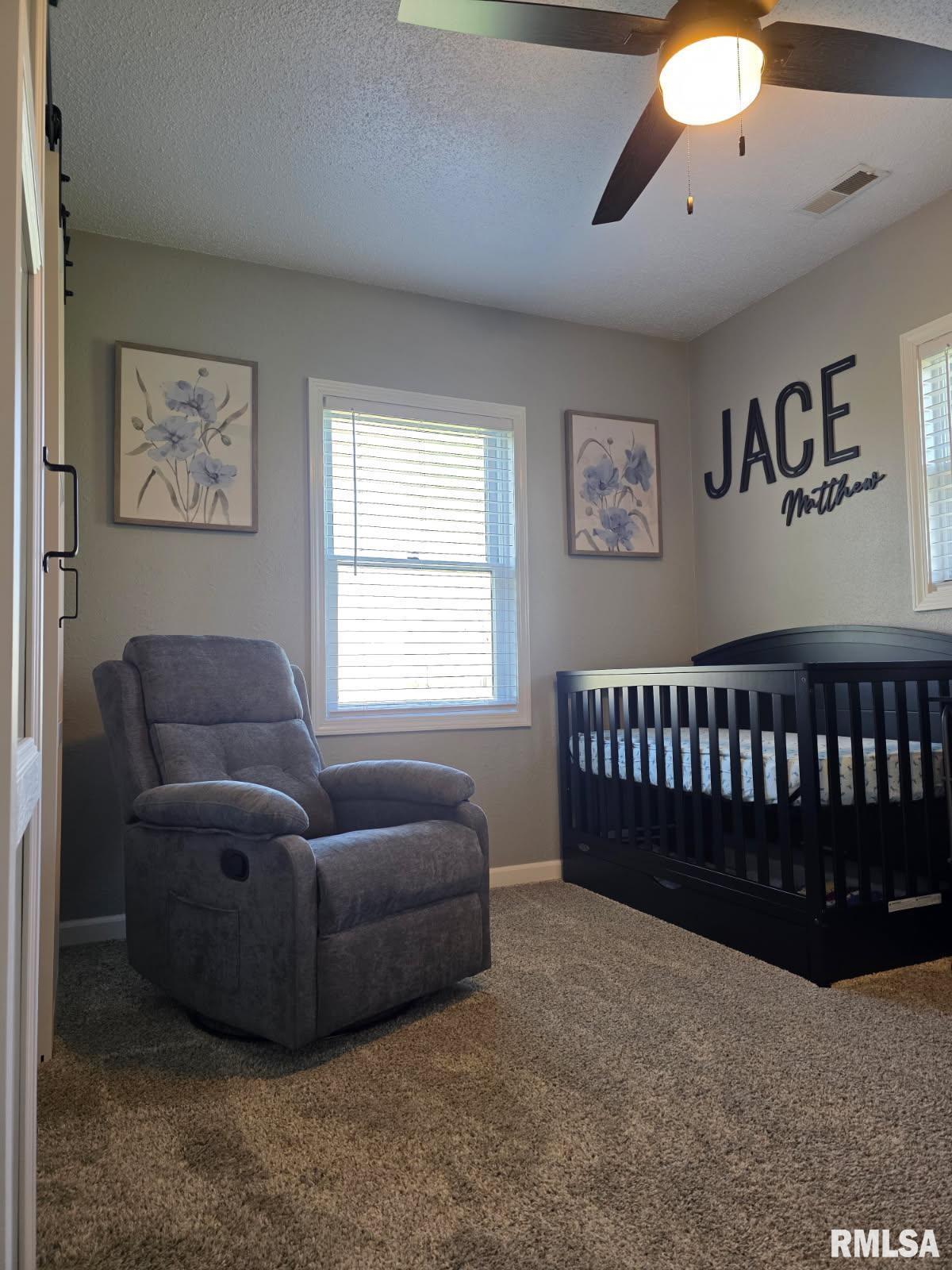 3009 Dalmation Road, Pinckneyville, Illinois image 10