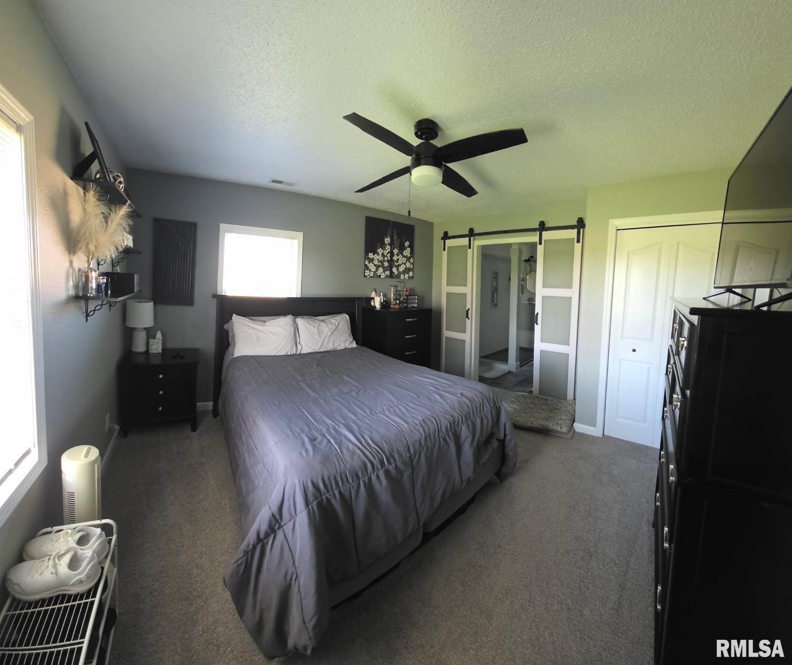 3009 Dalmation Road, Pinckneyville, Illinois image 9