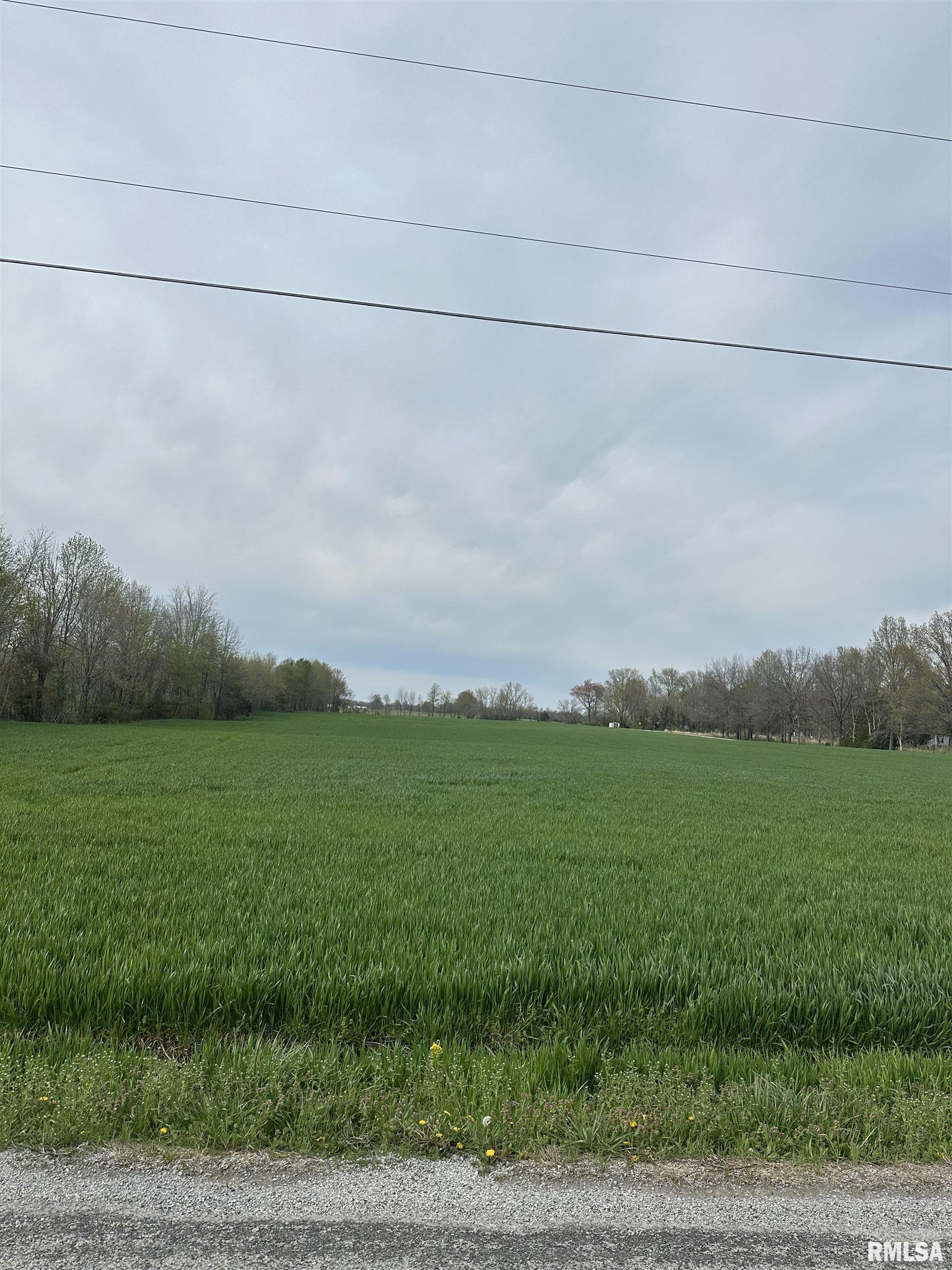 9527 Aden Street, Benton, Illinois image 3