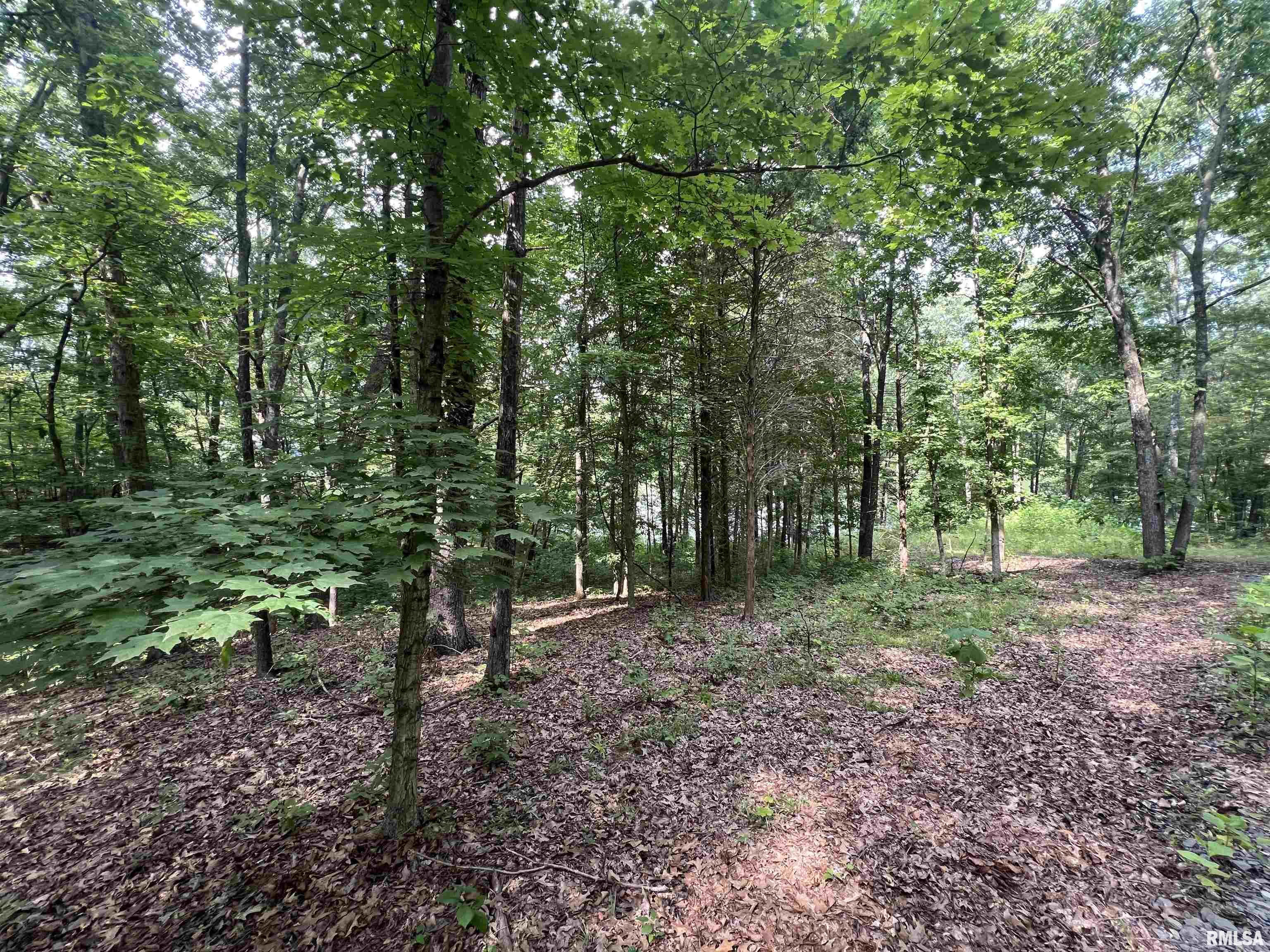 LOT 333 Clifty Lane, Goreville, Illinois image 9