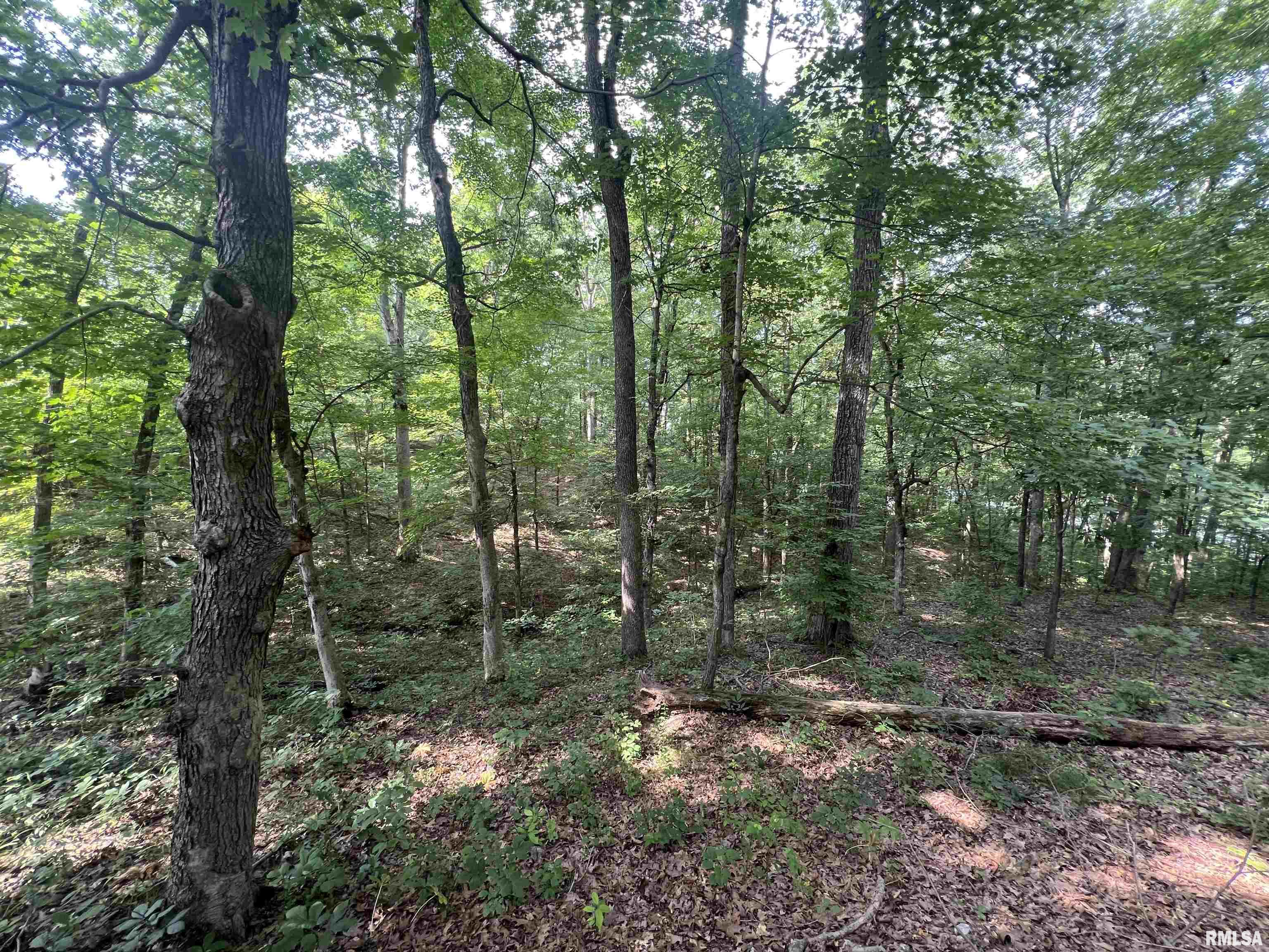 LOT 333 Clifty Lane, Goreville, Illinois image 6