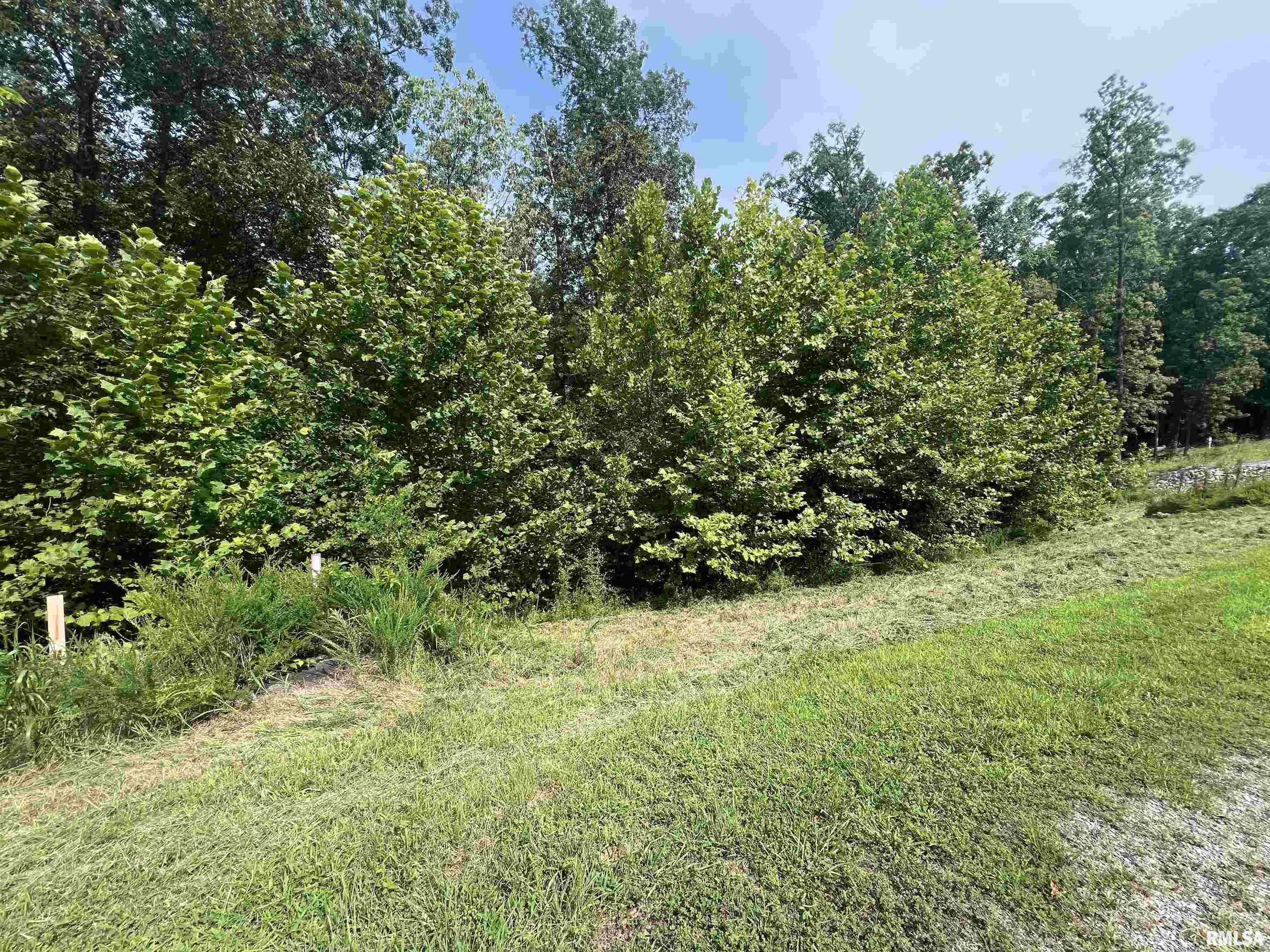 LOT 333 Clifty Lane, Goreville, Illinois image 11