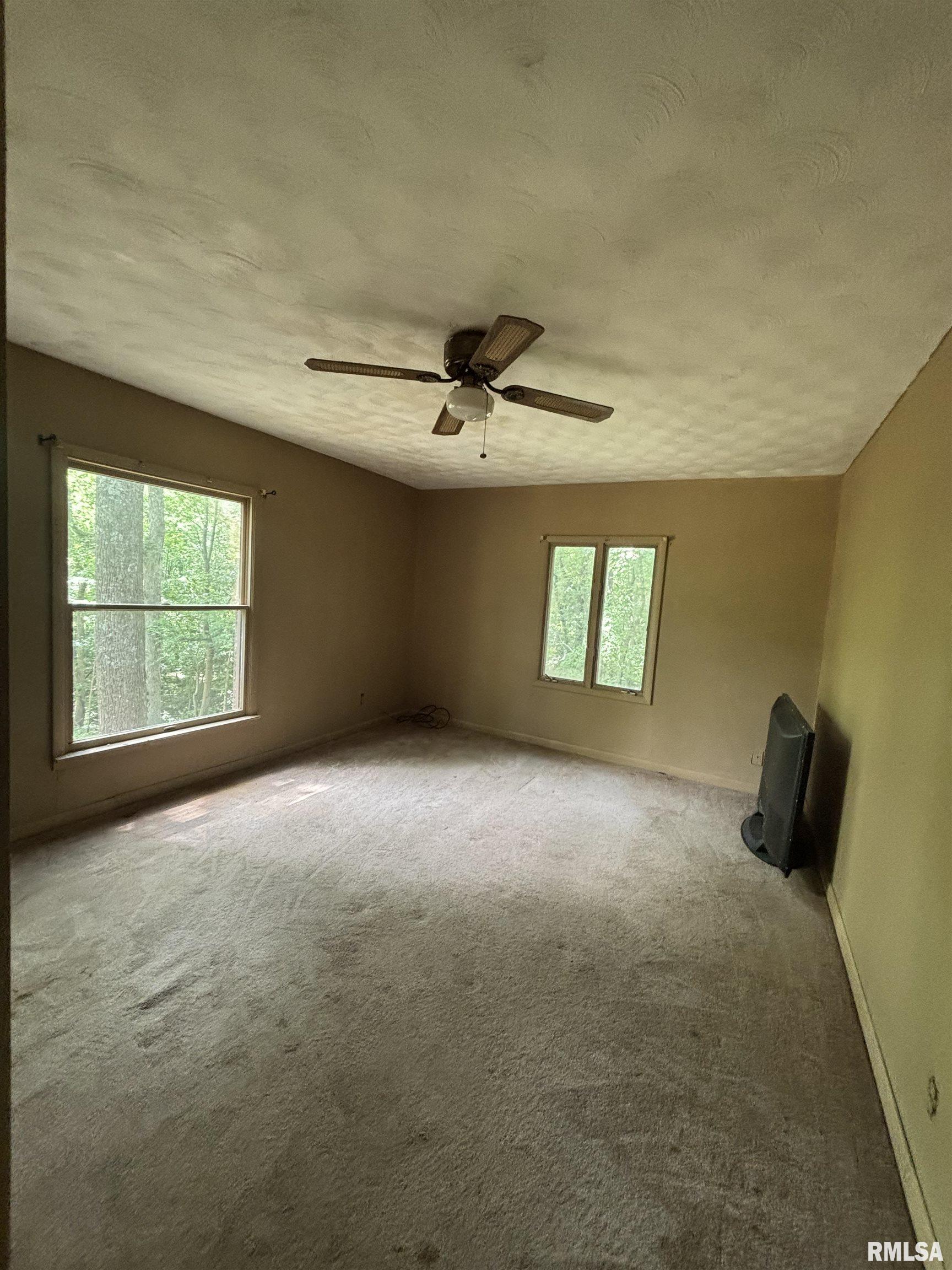 5284 Il Route 145 Road, Metropolis, Illinois image 10