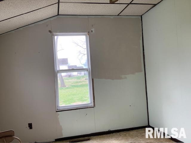 234 N Marion Street, Meredosia, Illinois image 6