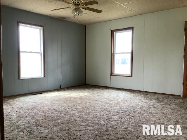 234 N Marion Street, Meredosia, Illinois image 2