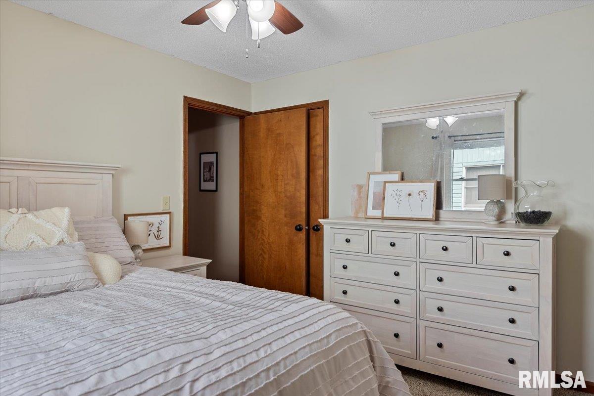 195 Teal Drive, Chatham, Illinois image 25