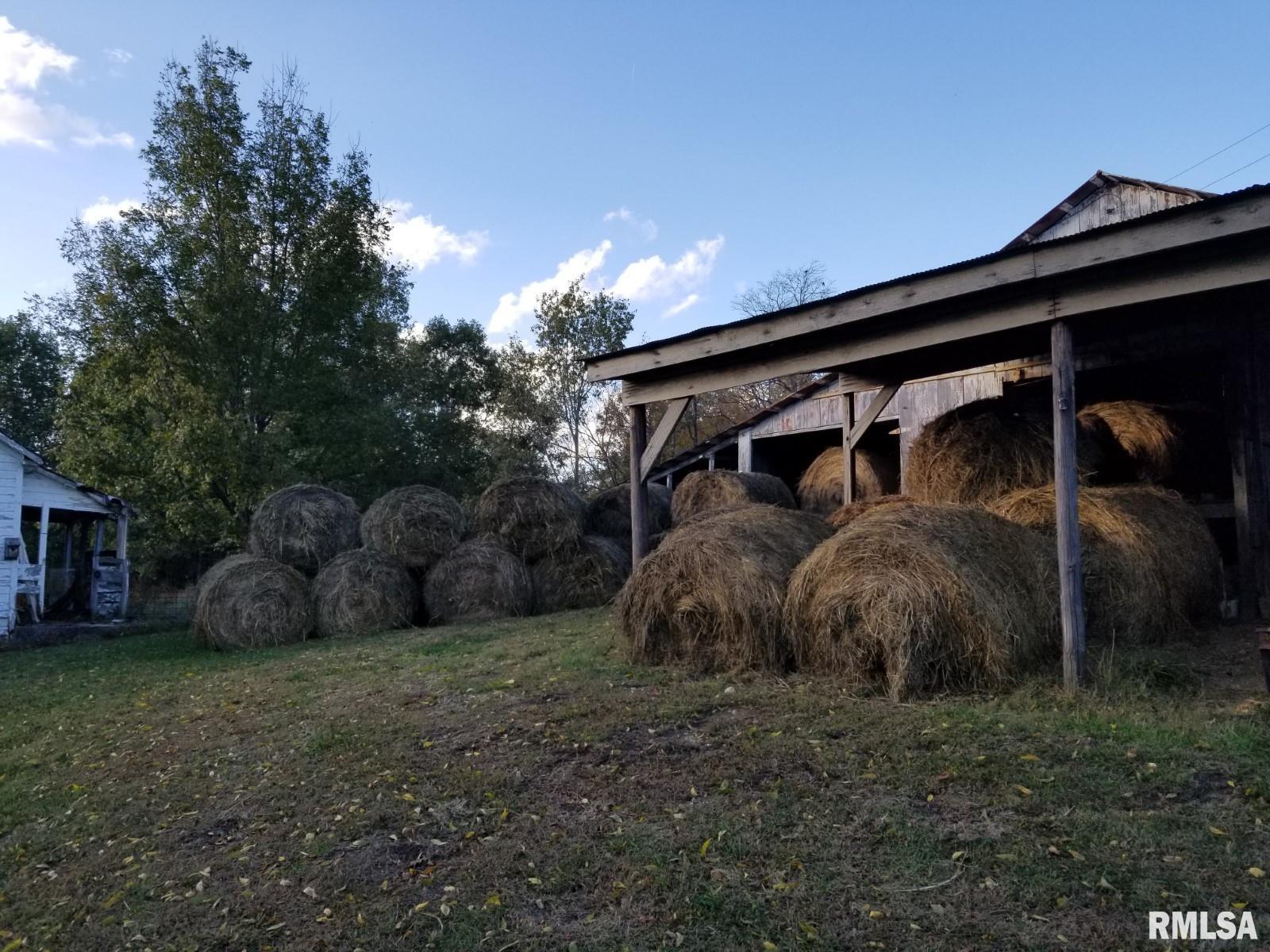 817 Dongola Road, Dongola, Illinois image 31