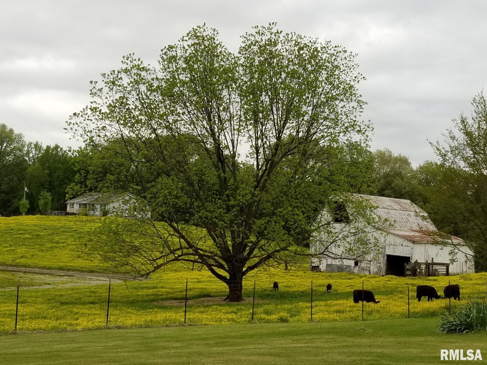 817 Dongola Road, Dongola, Illinois image 30