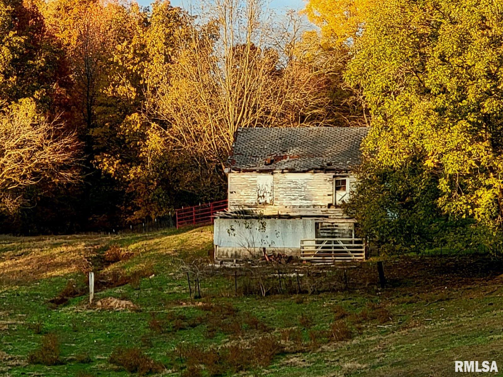 817 Dongola Road, Dongola, Illinois image 33