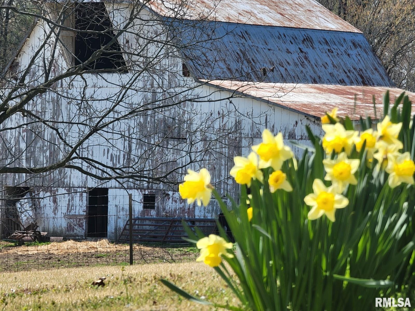 817 Dongola Road, Dongola, Illinois image 18