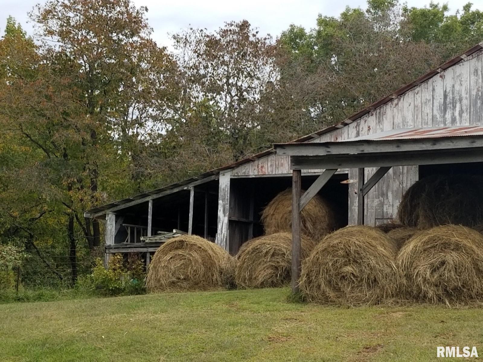 817 Dongola Road, Dongola, Illinois image 19