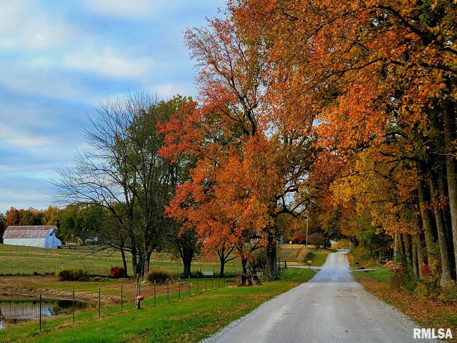 817 Dongola Road, Dongola, Illinois image 32