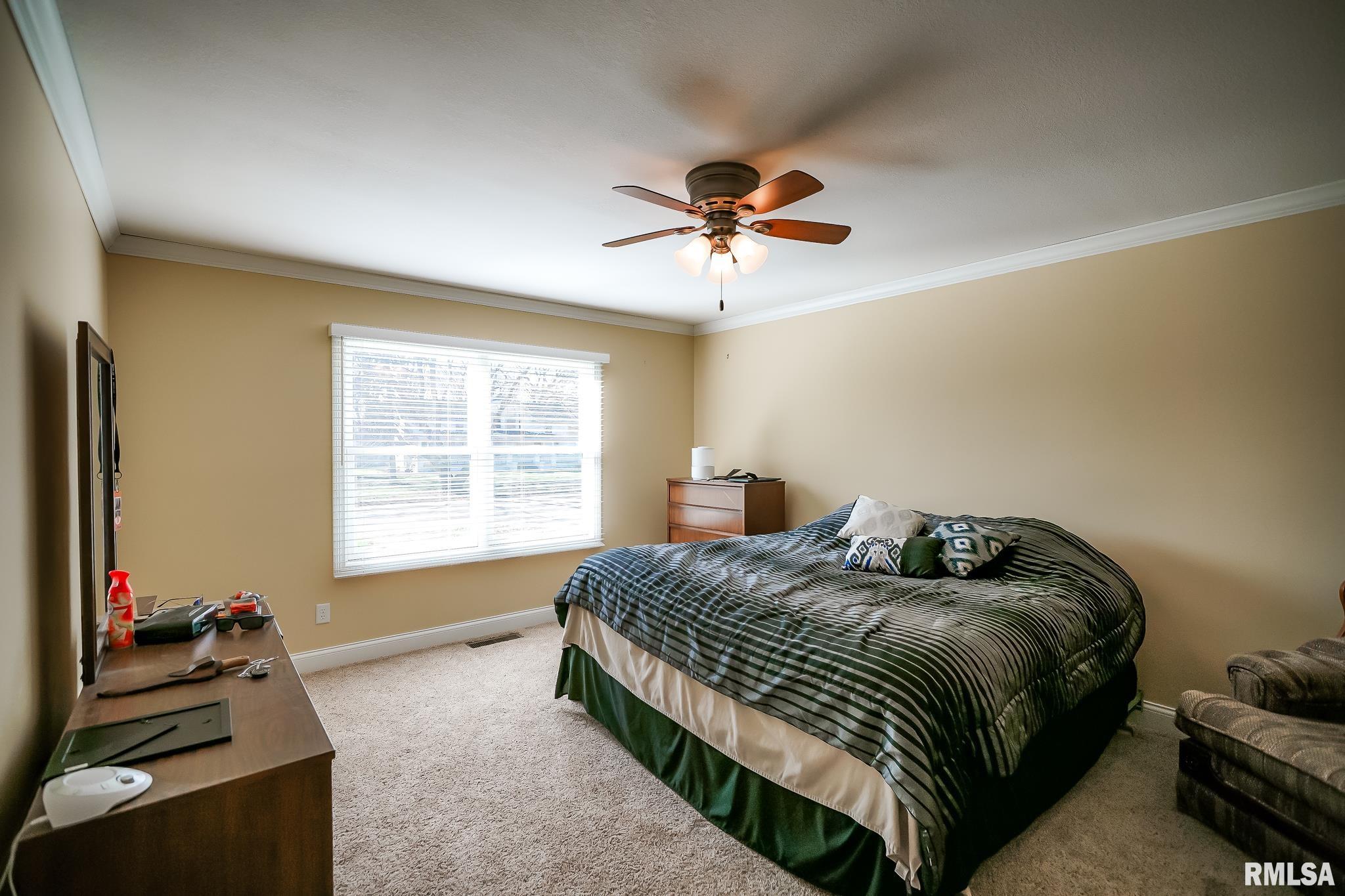 407 S 7th Street, Wyoming, Illinois image 12