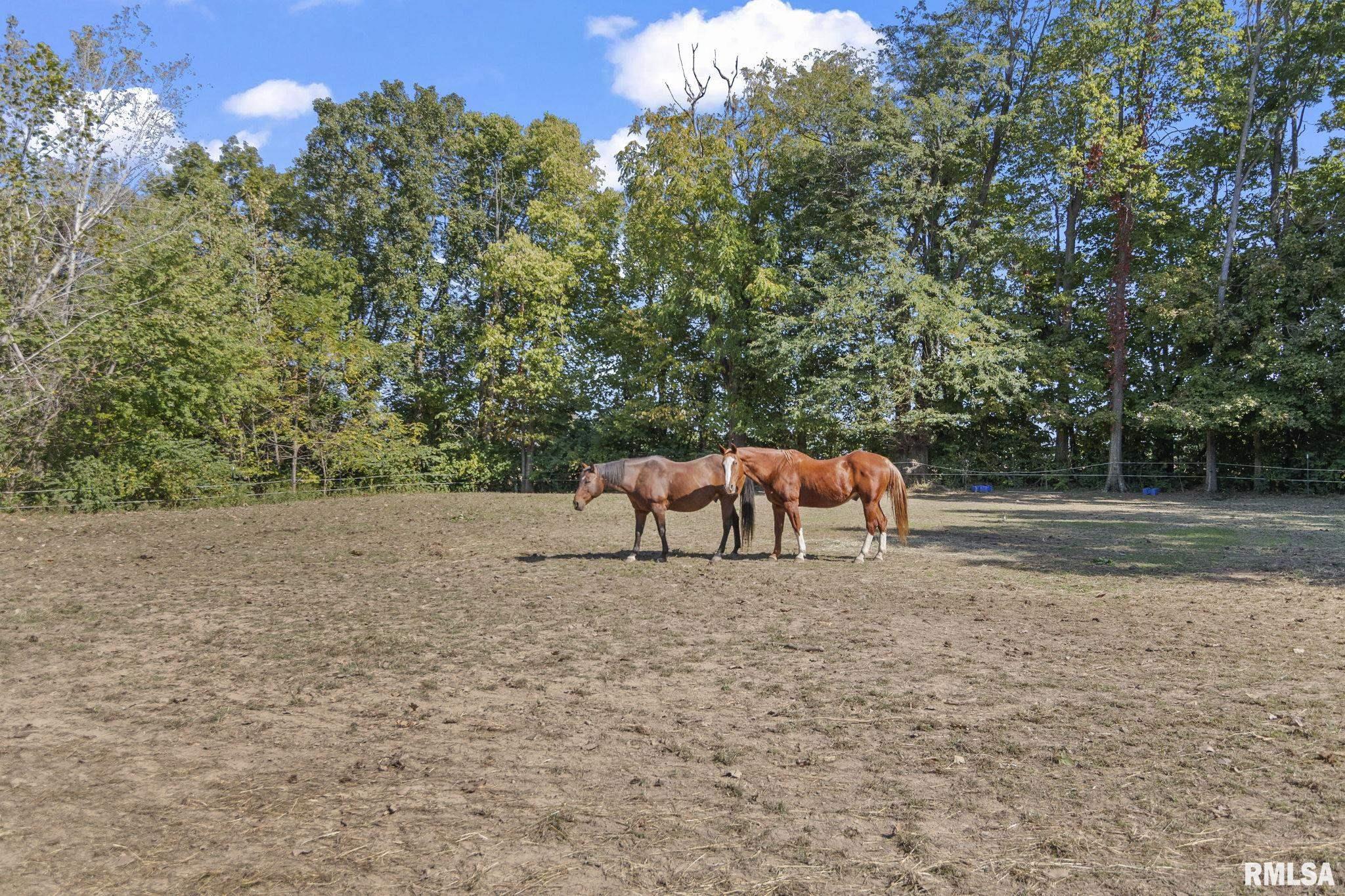 14397 W Loami Road, New Berlin, Illinois image 50