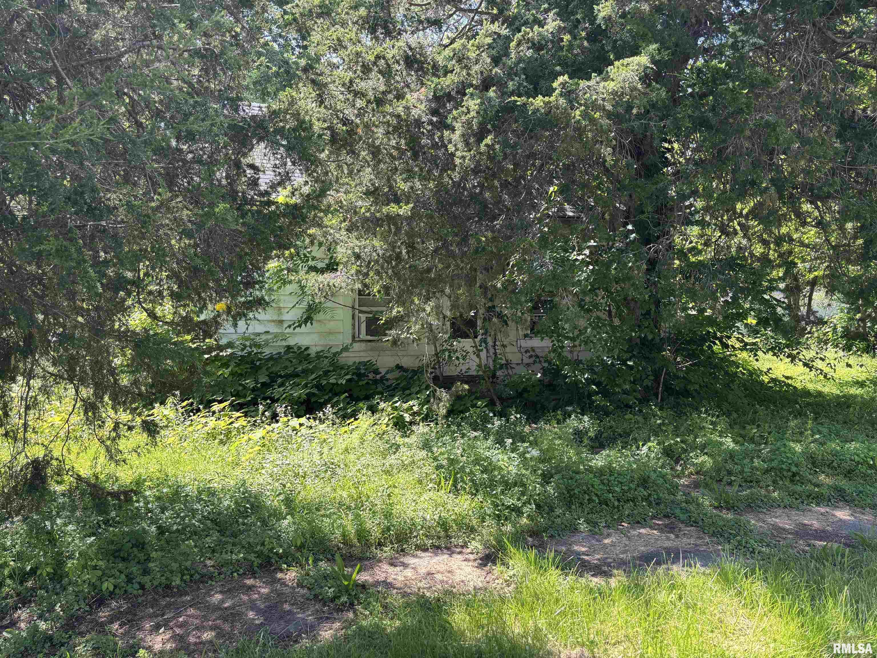 301 N 5th Street, Elkville, Illinois image 3